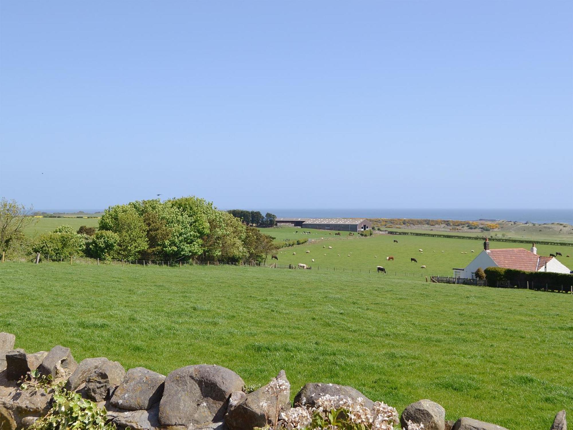 Eider Cottage Embleton  Exteriér fotografie